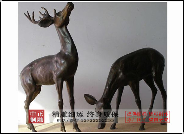 timg (8)_副本.jpg